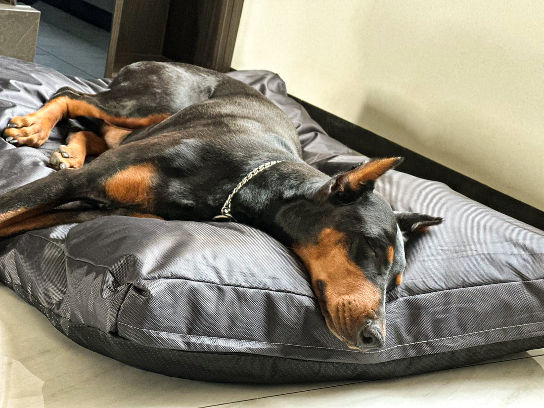 Scratch & Water Resistant Pet Bed