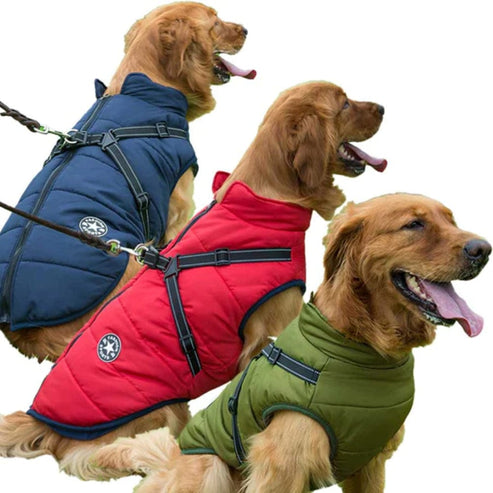 All-In-1 waterproof Coat & Harness